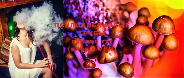 прущая мука Вязьма