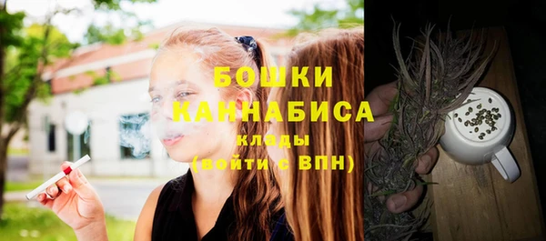молекула духа Вязники